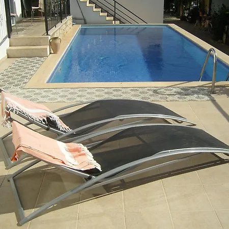 Apartament Olive Tree *